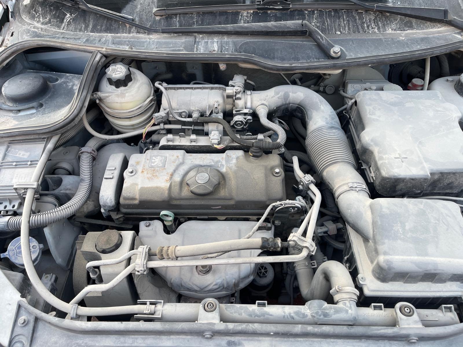 PUERTA TRASERA IZQUIERDA PEUGEOT 206 BERLINA - recambio desguace - vista 12