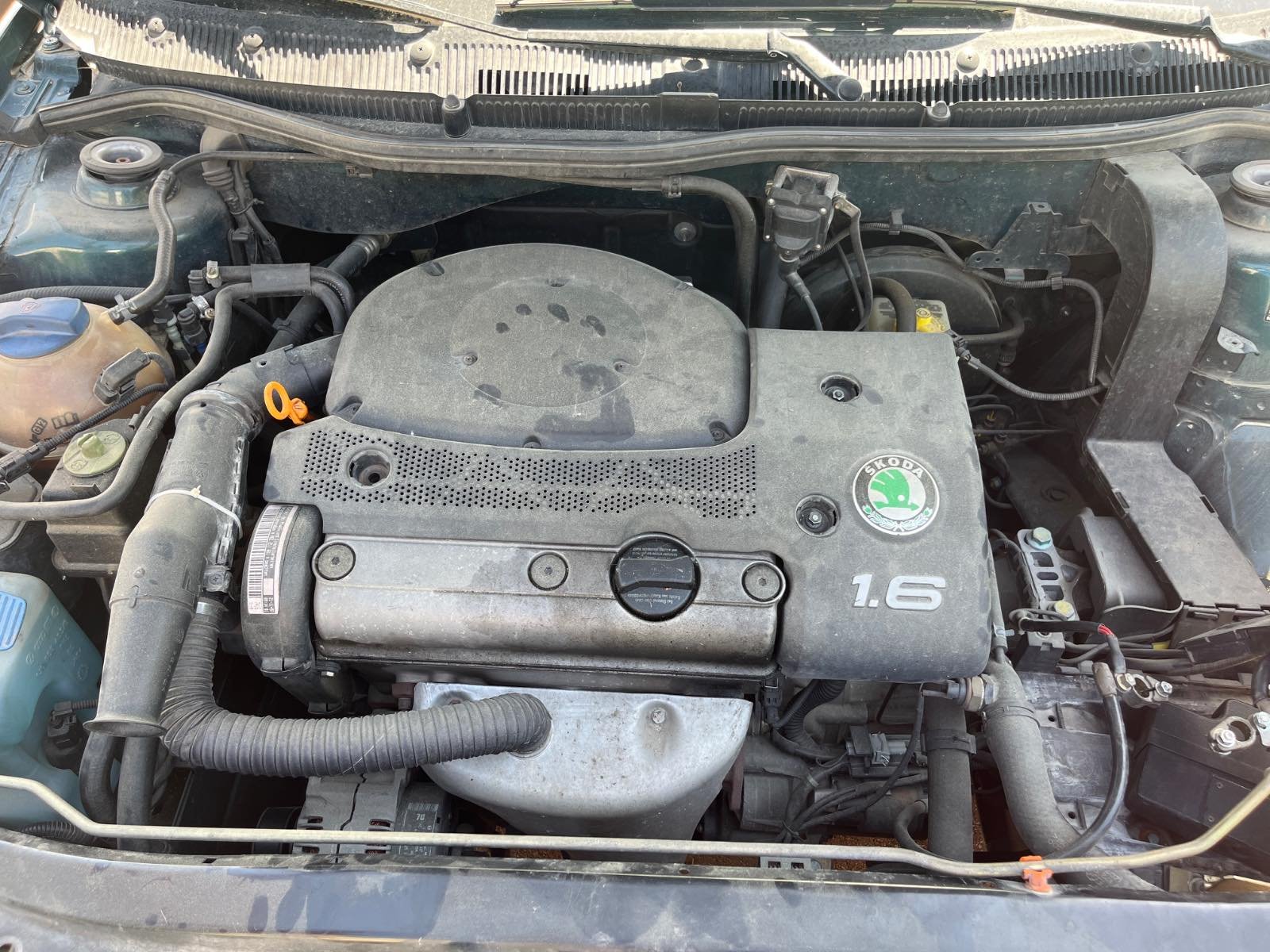 Vista 14