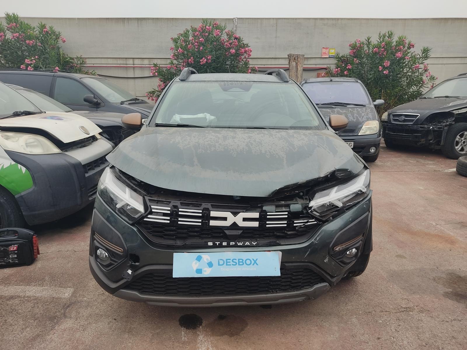 PUERTA TRASERA IZQUIERDA DACIA SANDERO III - recambio desguace - vista 6