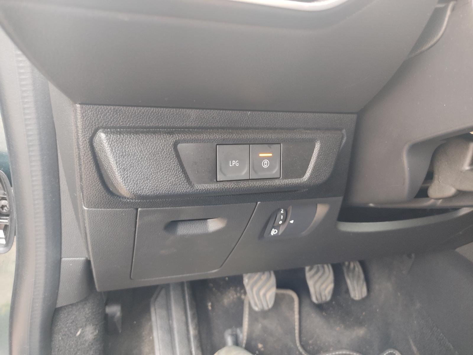 PUERTA TRASERA IZQUIERDA DACIA SANDERO III - recambio desguace - vista 14