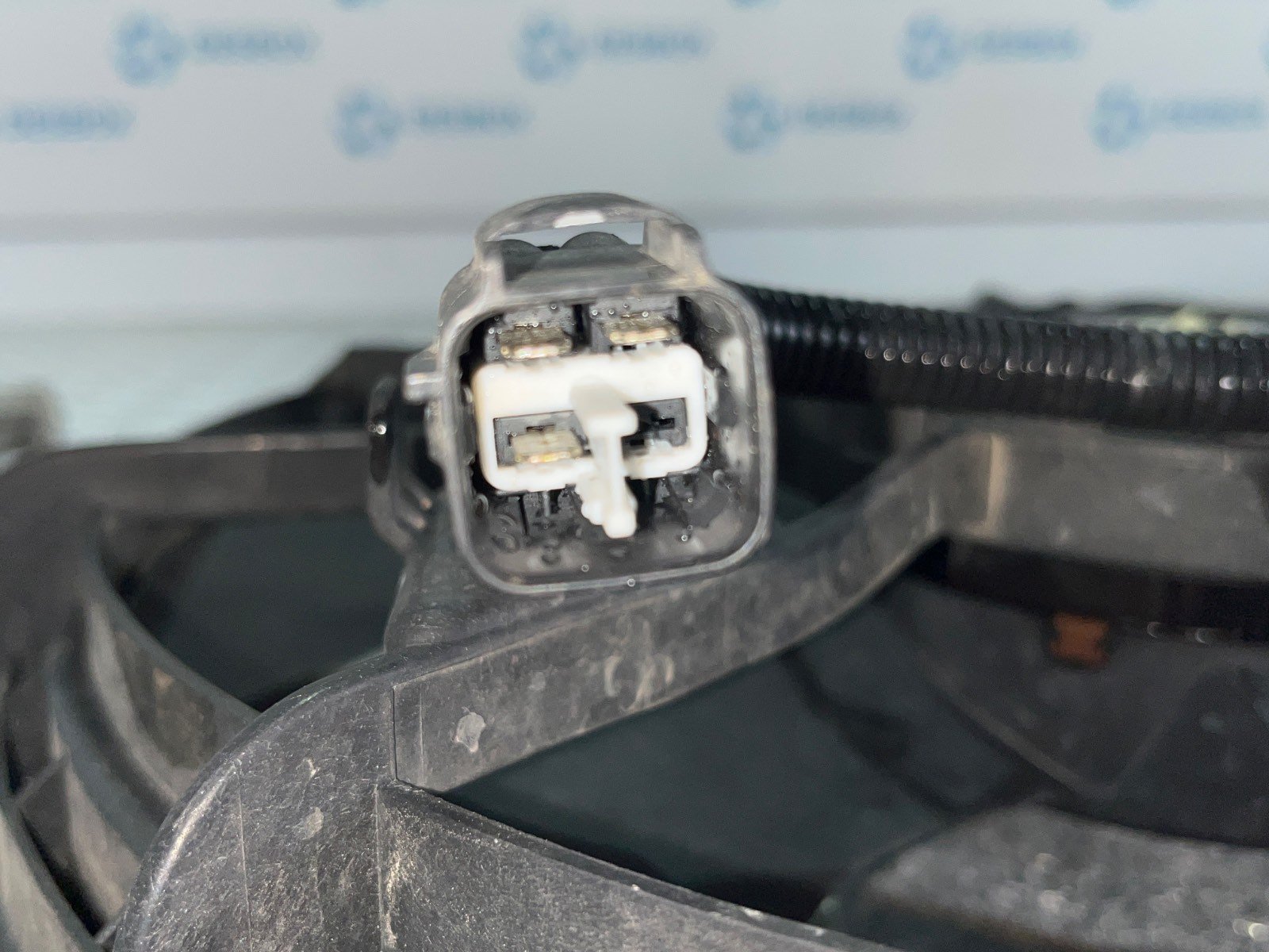 ELECTROVENTILADOR KIA CARENS  - recambio desguace - vista 4