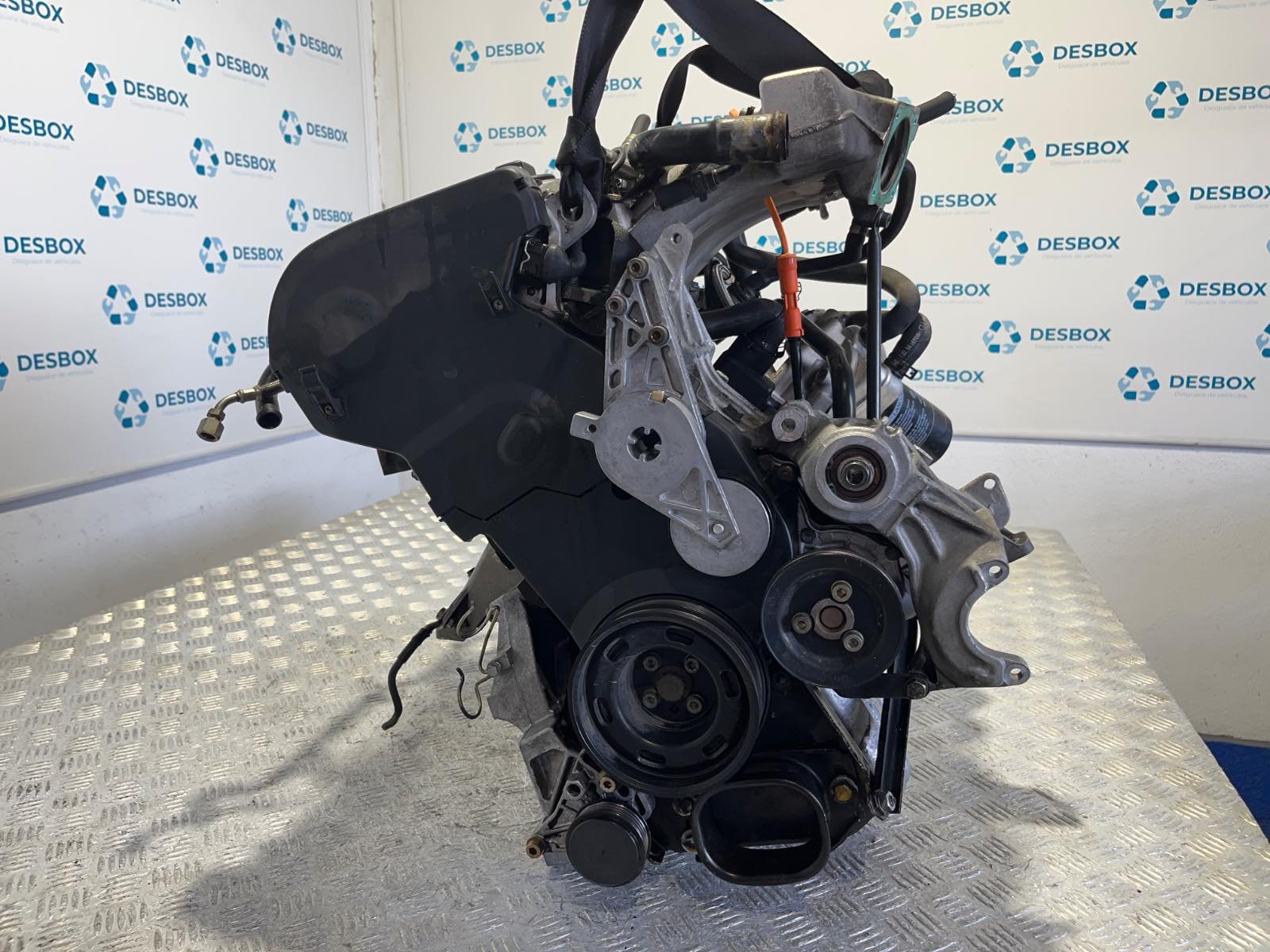MOTOR