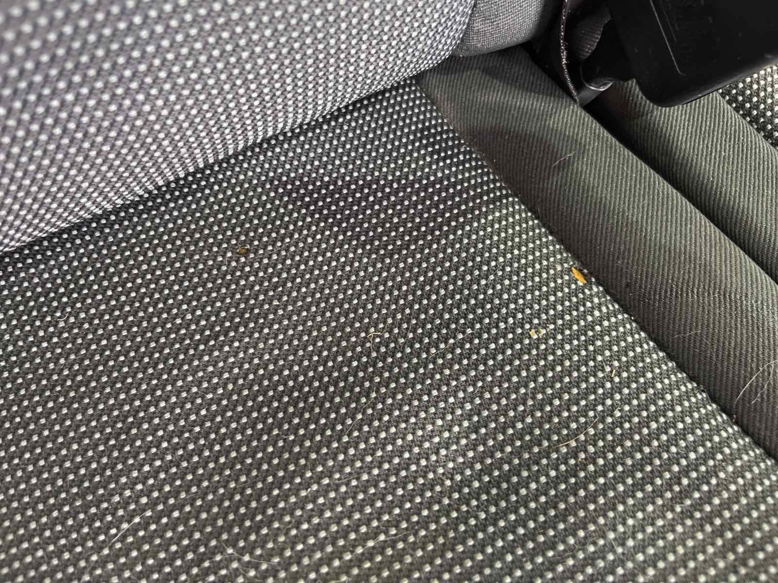 ASIENTO DELANTERO DERECHO PEUGEOT EXPERT TEPEE - recambio desguace - vista 6