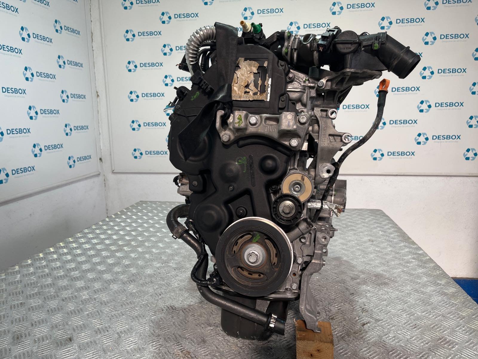 MOTOR